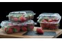 PUNNETS AND TRAYS (FRUITS AND VEGETABLES PACKAGING)